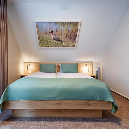 Schluister Park קרוליננזיל